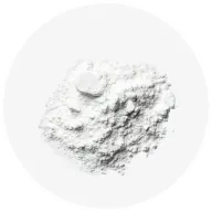 L. Plantarum