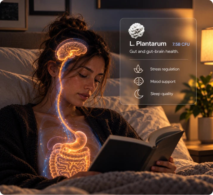 Support the Gut-Brain Connection