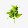 Lemon Balm · Relissa®: