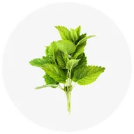 Relissa® Lemon Balm