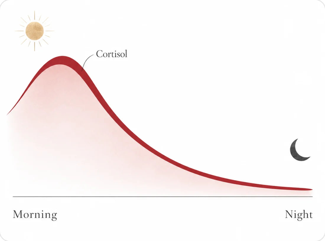 A healthy cortisol curve: high in the morning, falling toward night