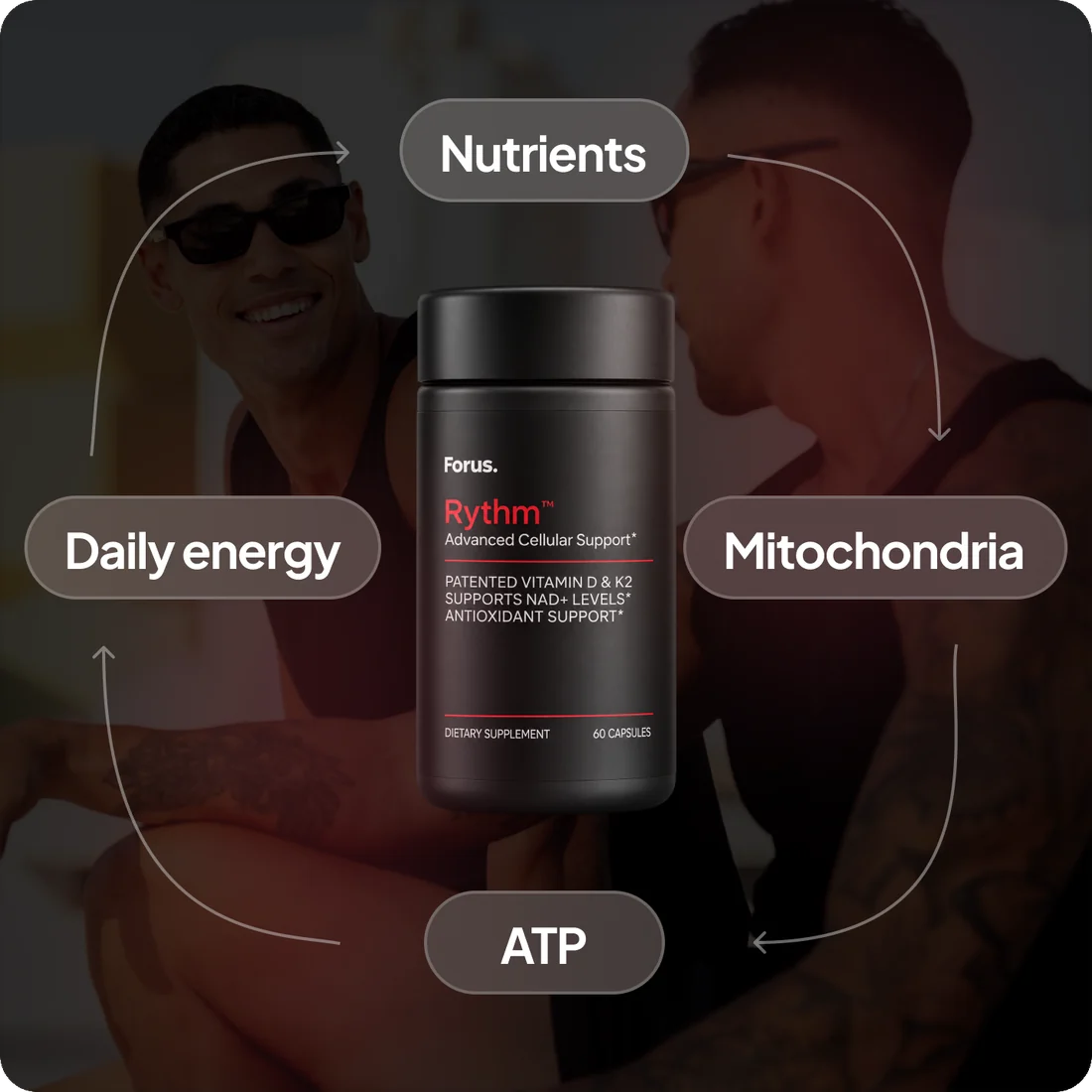 A Rythm bottle in a loop of nutrients, mitochondria, ATP and daily energy
