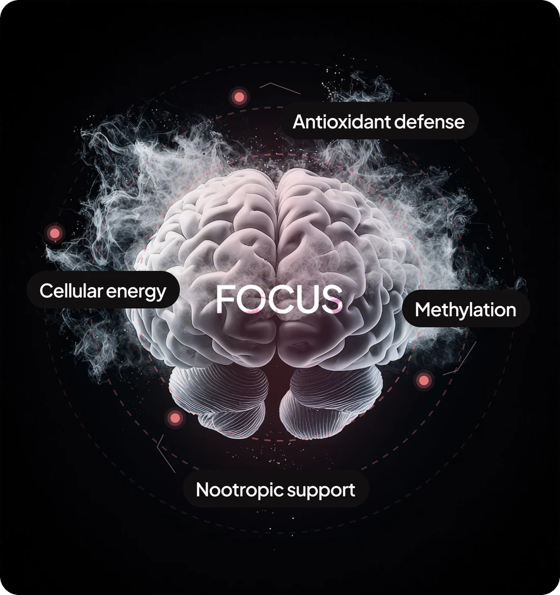 A brain labelled Focus, ringed by antioxidant defense, cellular energy, methylation and nootropic support